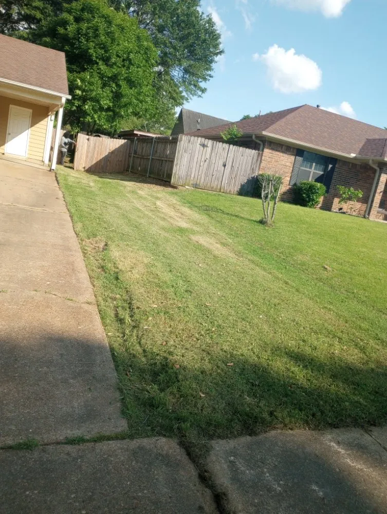 Affordable yard cleanup service for residential properties across Memphis, TN - C&S Lawn Care Services