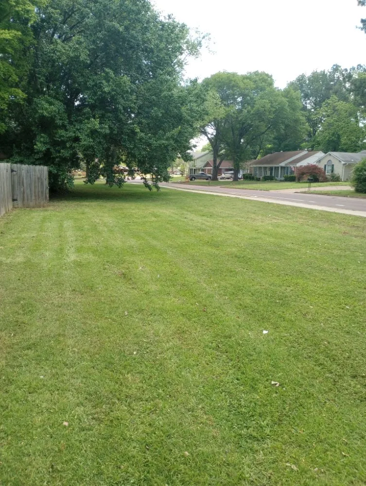 Expert residential landscaping for beautiful yards across Memphis, TN - C&S Lawn Care Services