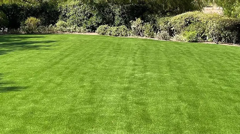 Expert landscape design experts serving Mobile, AL - C&S Lawn Maintenance