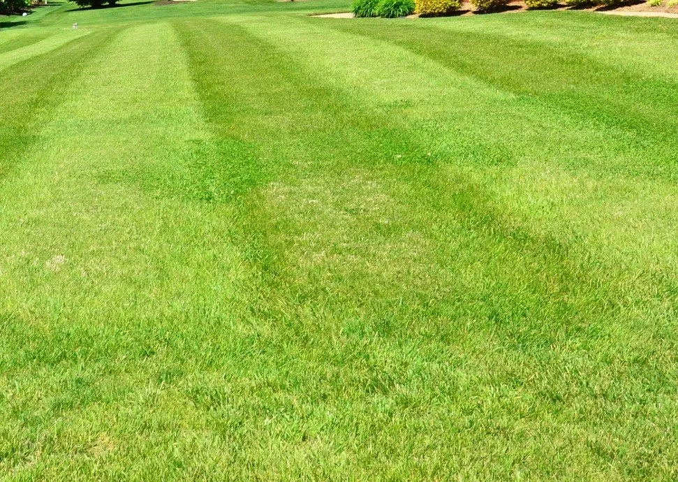 Professional landscape design in Mobile, AL - C&S Lawn Maintenance