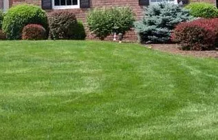 Trusted landscaping services in Mobile, AL - C&S Lawn Maintenance