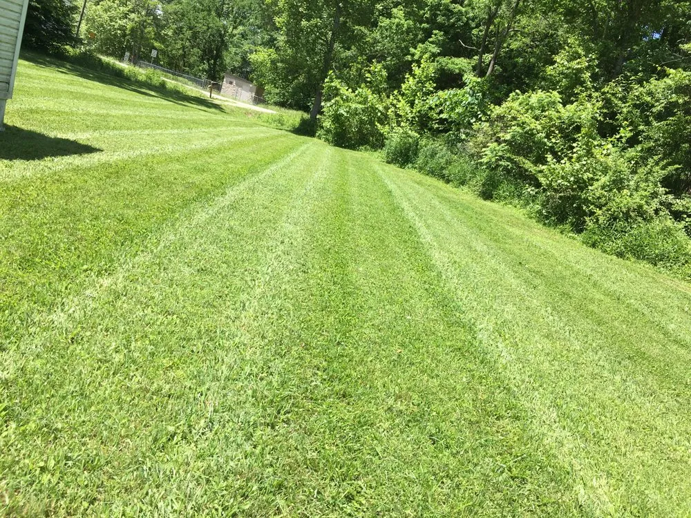 Custom yard cleanup service in Salt Lick, KY - C&S Lawncare