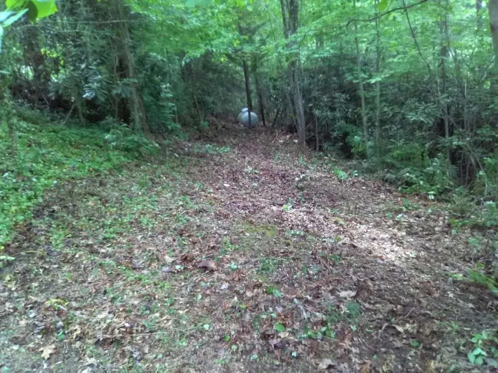 Trusted yard cleanup service for homes across Townsend, TN - C&S LawnScapes