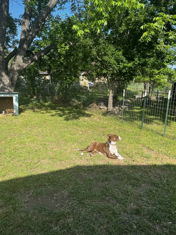 Reliable yard cleanup service near you across Keene, TX - C&S Mowing