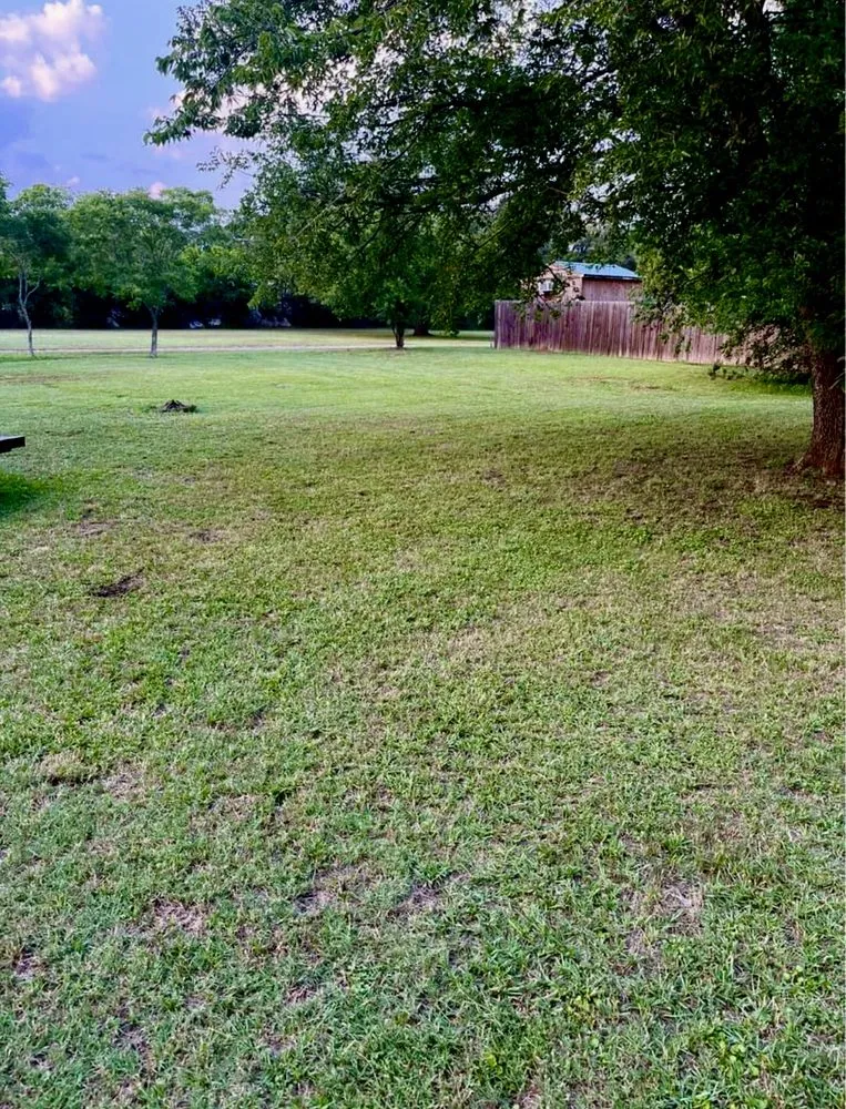 Local garden landscaping in Keene, TX by C&S Mowing