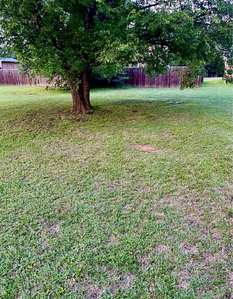 Expert residential landscaping for year-round maintenance in Keene, TX by C&S Mowing