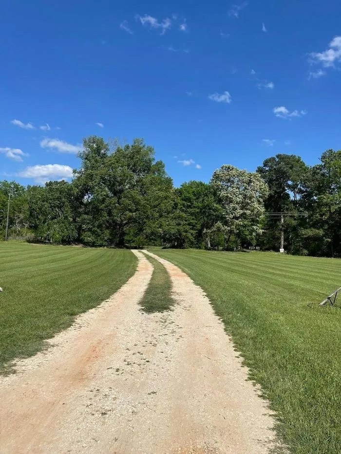 Top-rated lawn care service in Nacogdoches, TX - CS Mulching and Lawncare