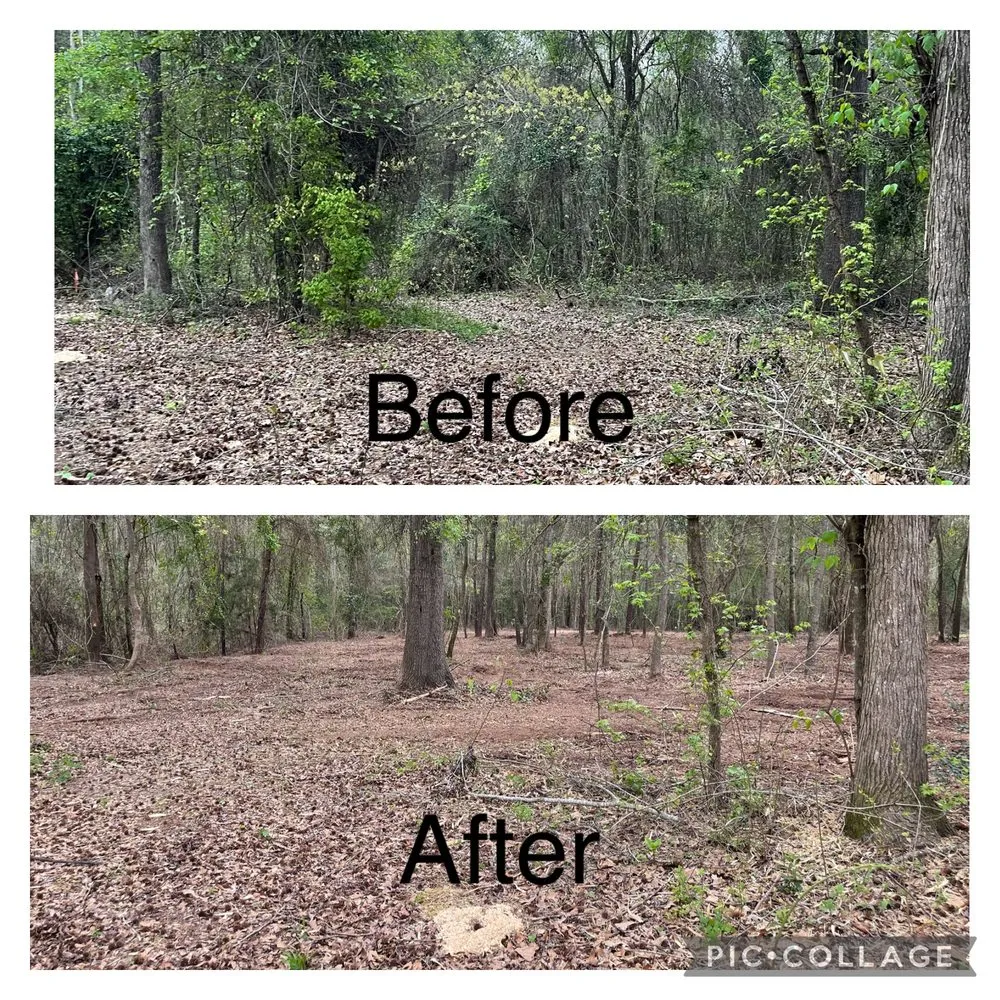 Top-rated lawn care service in Nacogdoches, TX by CS Mulching and Lawncare