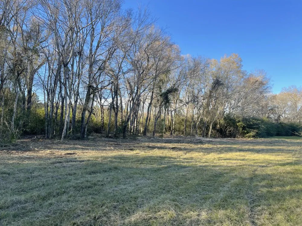 Expert landscape design in Nacogdoches, TX by CS Mulching and Lawncare