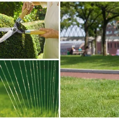 Reliable residential landscaping experts serving Fresno, CA - CS Outdoor Living