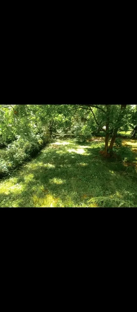 Local lawn mowing service experts serving Ranson, WV - C&S