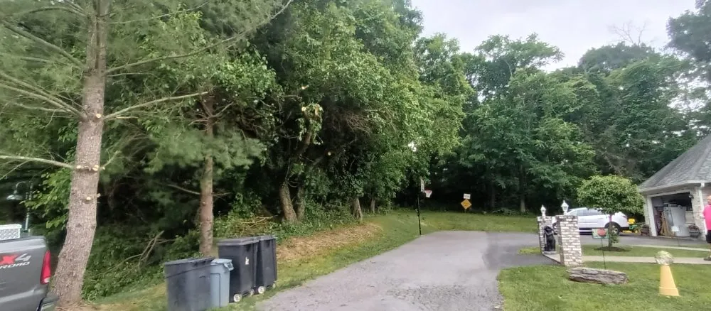 Affordable outdoor landscaping in Ranson, WV by C&S