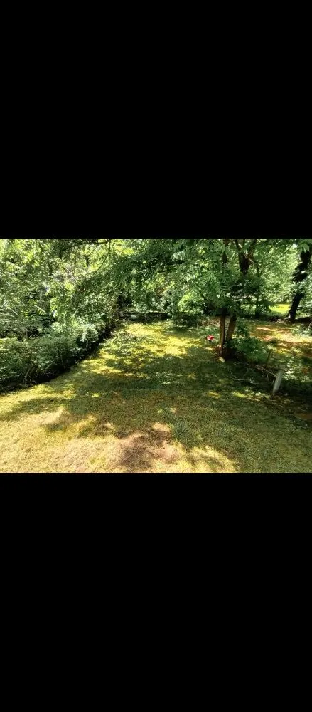 Affordable lawn mowing service in Ranson, WV by C&S