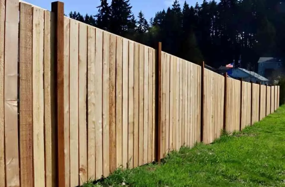 Affordable yard cleanup service experts serving Aurora, CO - C&S Security and Concrete