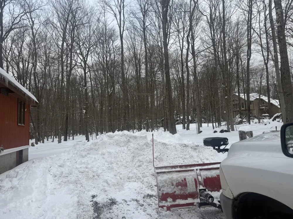 Local residential landscaping in Spring Brook Township, PA - CS Services