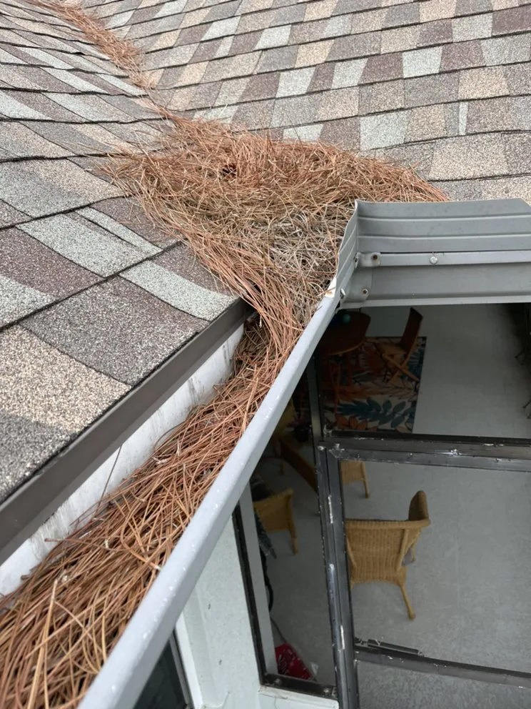 Local garden landscaping experts serving Melbourne, FL - C&S Solutions