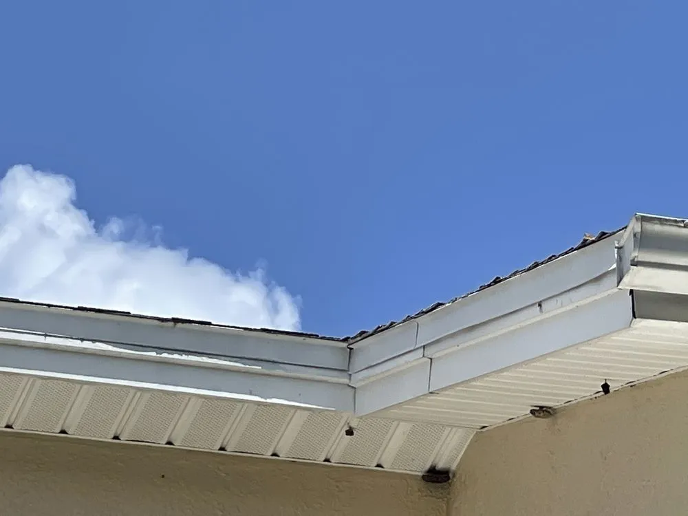 Affordable lawn care service experts serving Melbourne, FL - C&S Solutions