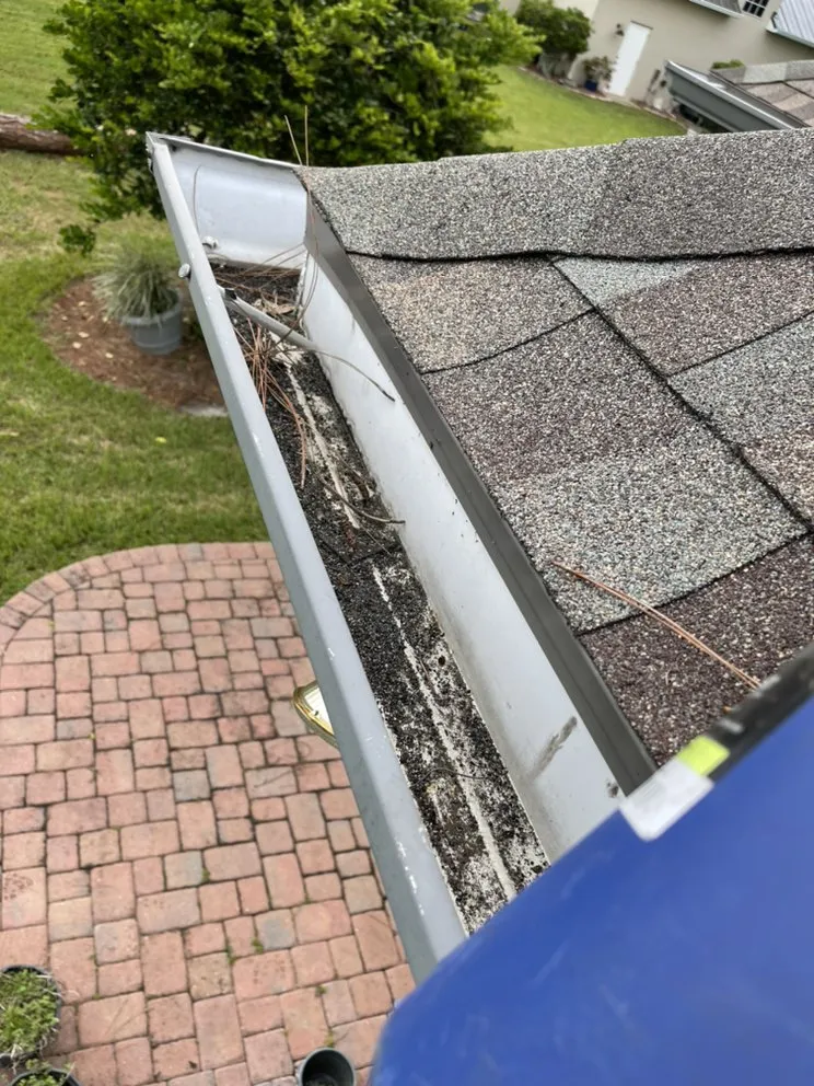 Affordable lawn mowing service in Melbourne, FL by C&S Solutions