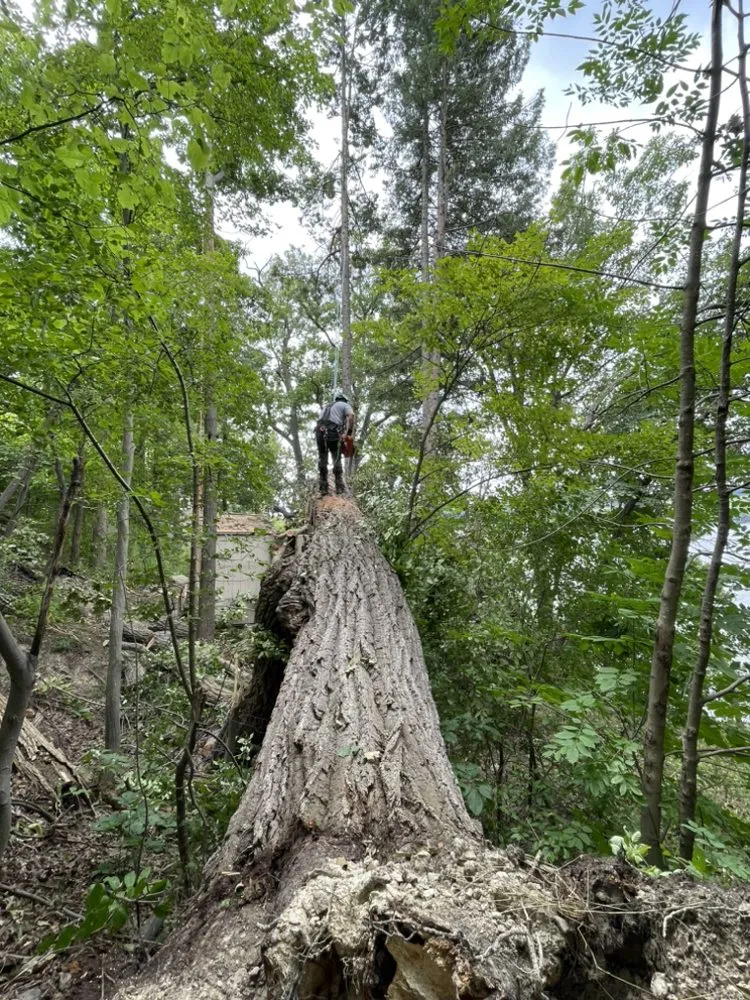 Reliable yard maintenance for beautiful yards in Corning, NY by CS Tree Service and Landscaping