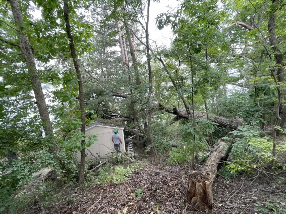 Reliable residential landscaping in Corning, NY by CS Tree Service and Landscaping