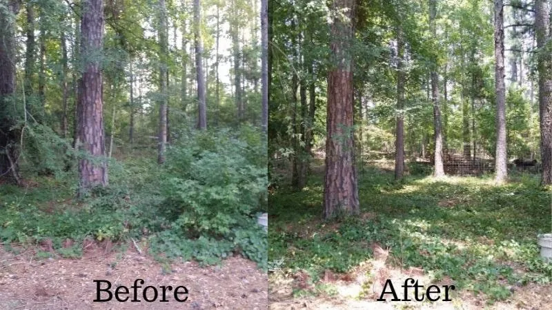 Reliable outdoor landscaping experts serving Altoona, PA - CS Underbrush Clearing