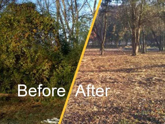 Expert lawn mowing service in Altoona, PA - CS Underbrush Clearing