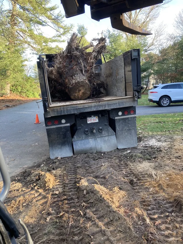 Local lawn care service in Sandwich, MA - C&S Williams Co Excavation