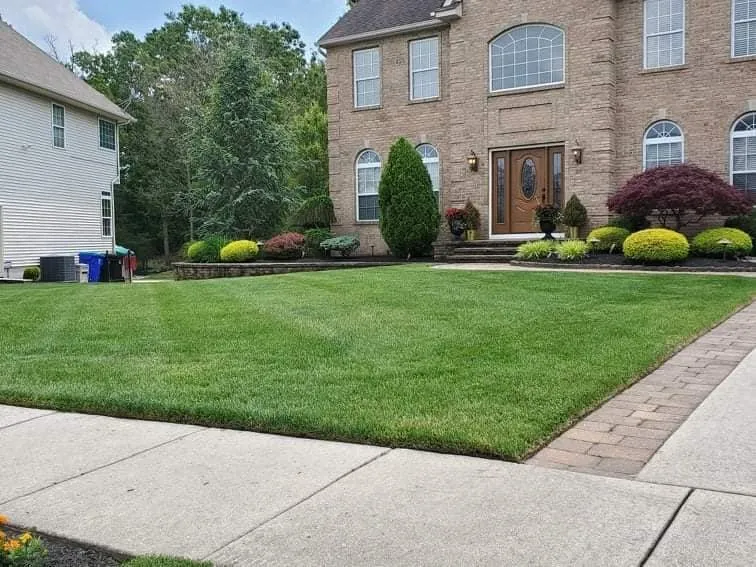 Local lawn mowing service experts serving East Palo Alto, CA - César Landscaping