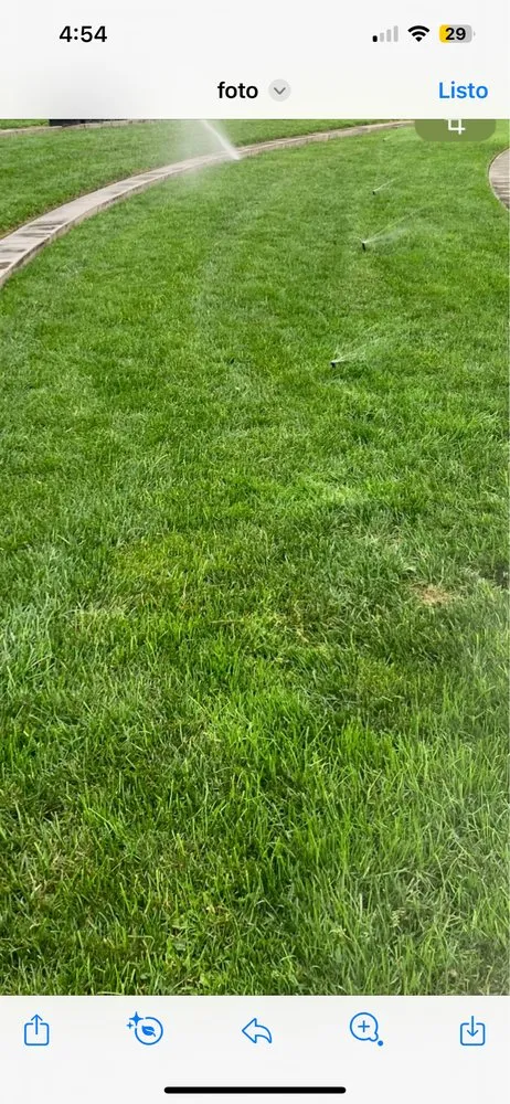 Trusted yard maintenance in East Palo Alto, CA - César Landscaping