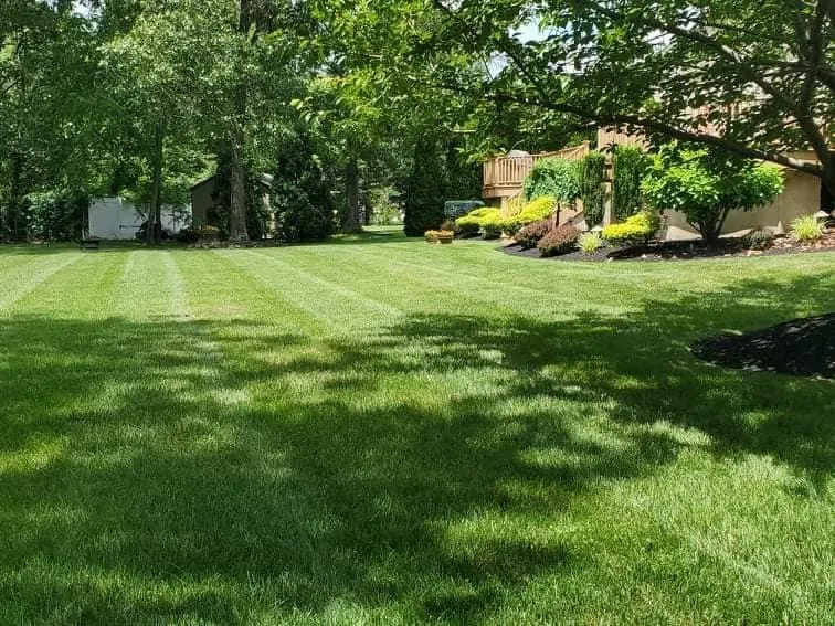 Professional landscaping services for homes in East Palo Alto, CA by César Landscaping