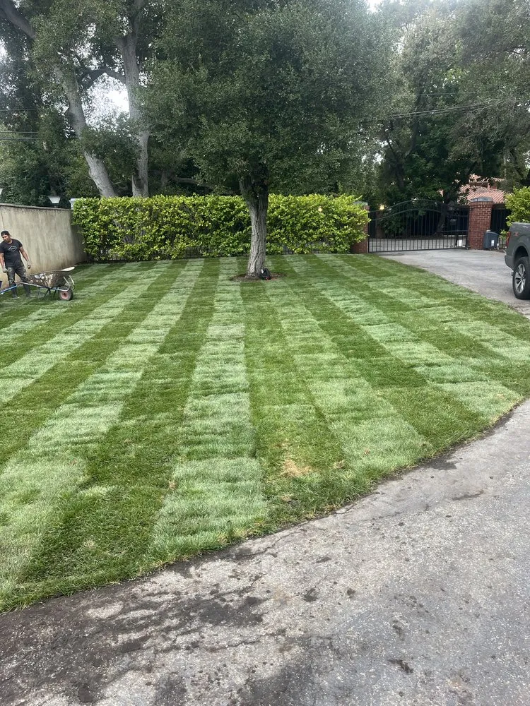 Top-rated landscaping services for residential properties across East Palo Alto, CA - César Landscaping