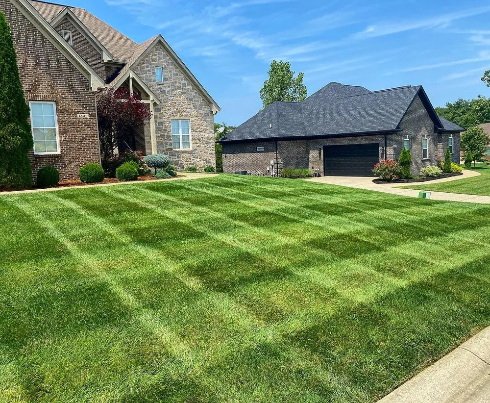 Professional landscaping services for outdoor upgrades across East Palo Alto, CA - César Landscaping