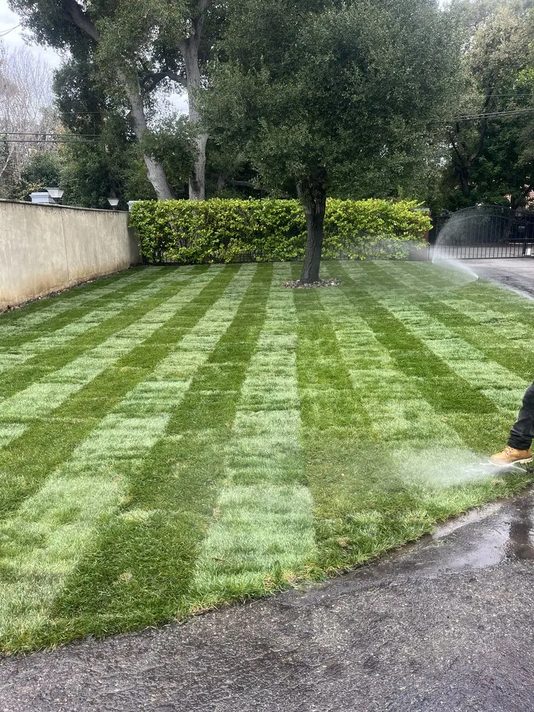 Top-rated landscape design experts serving East Palo Alto, CA - César Landscaping