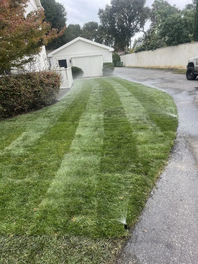 Reliable lawn mowing service with custom design across East Palo Alto, CA - César Landscaping