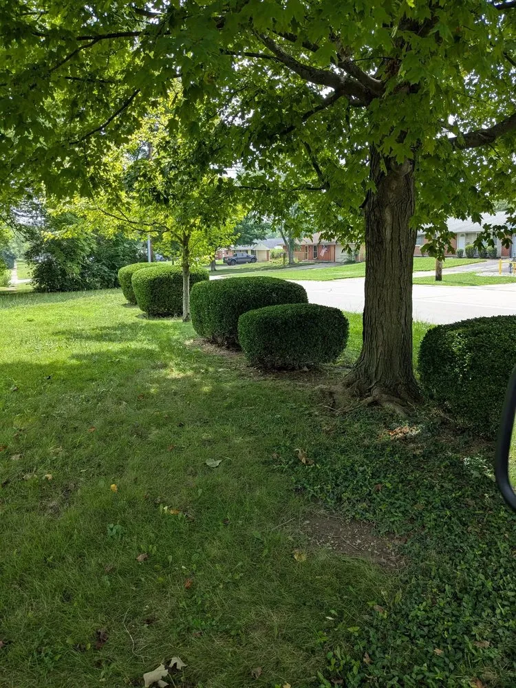 Professional landscape design experts serving East Palo Alto, CA - César Landscaping