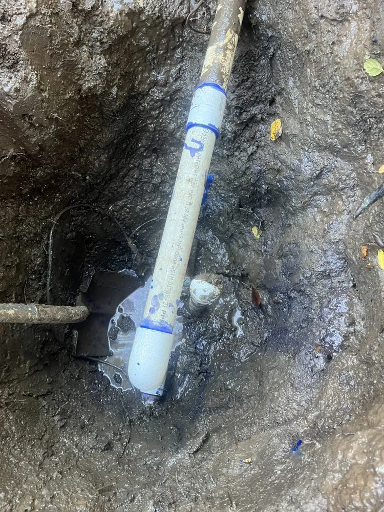 Professional landscaping services near you in East Palo Alto, CA by César Landscaping