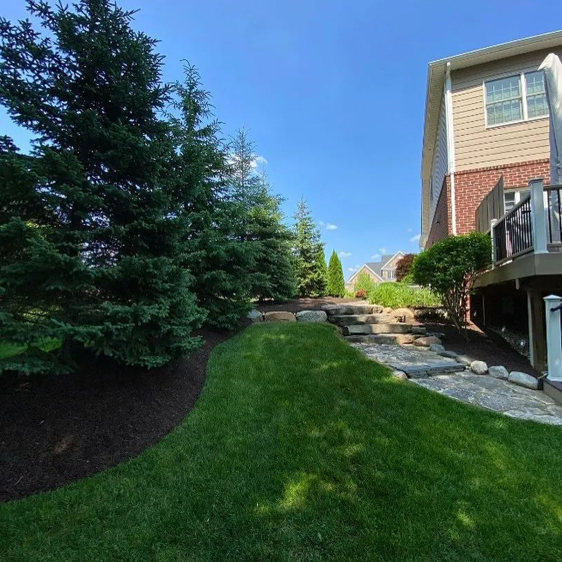 Trusted yard cleanup service in East Palo Alto, CA by César Landscaping