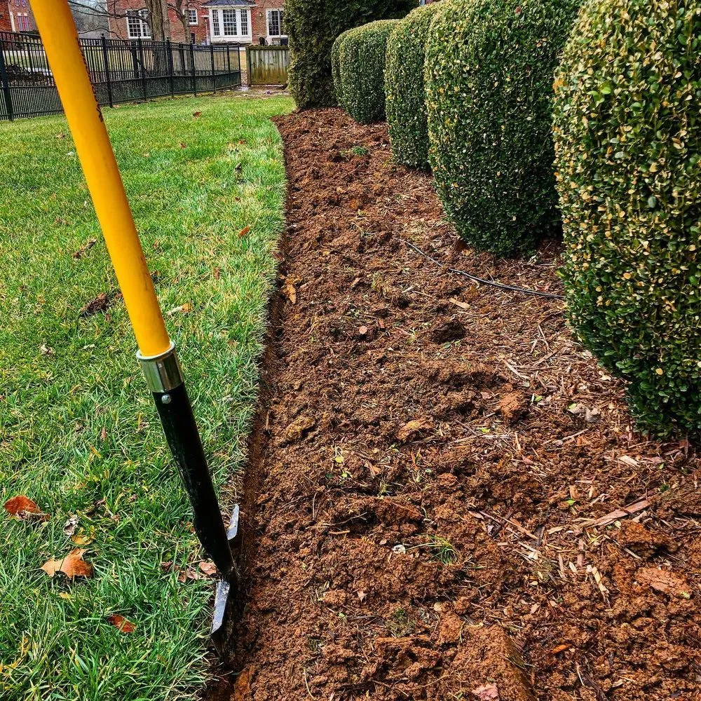 Local yard maintenance experts serving East Palo Alto, CA - César Landscaping