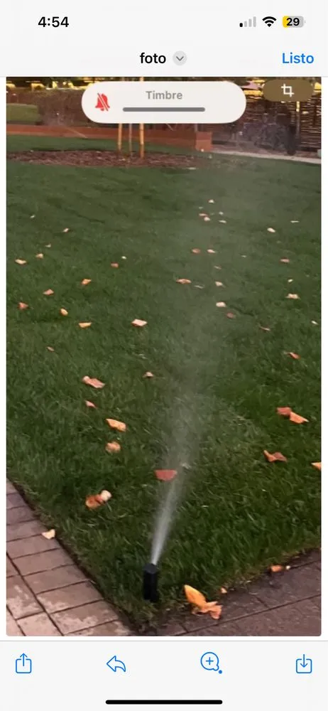 Trusted lawn care service in East Palo Alto, CA - César Landscaping