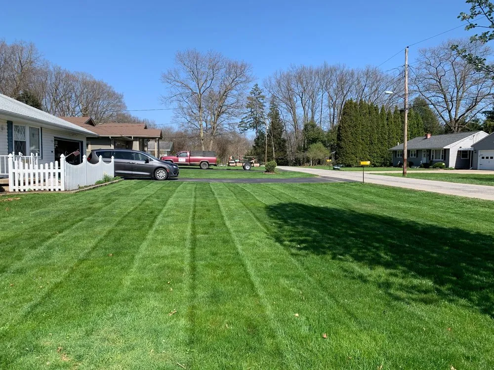 Professional landscape design in East Palo Alto, CA - César Landscaping