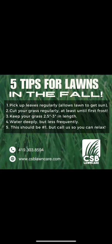 Affordable yard cleanup service in Elida, OH by CSB Lawncare