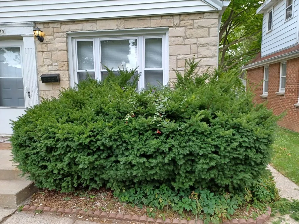 Trusted residential landscaping in Milwaukee, WI by CSC Construction