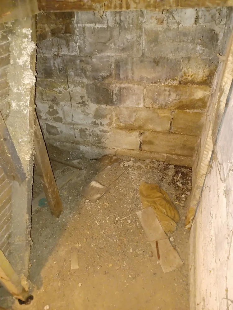 Expert landscaping services near you across Milwaukee, WI - CSC Construction