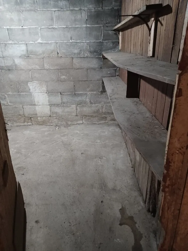 Expert lawn care service for outdoor upgrades in Milwaukee, WI by CSC Construction