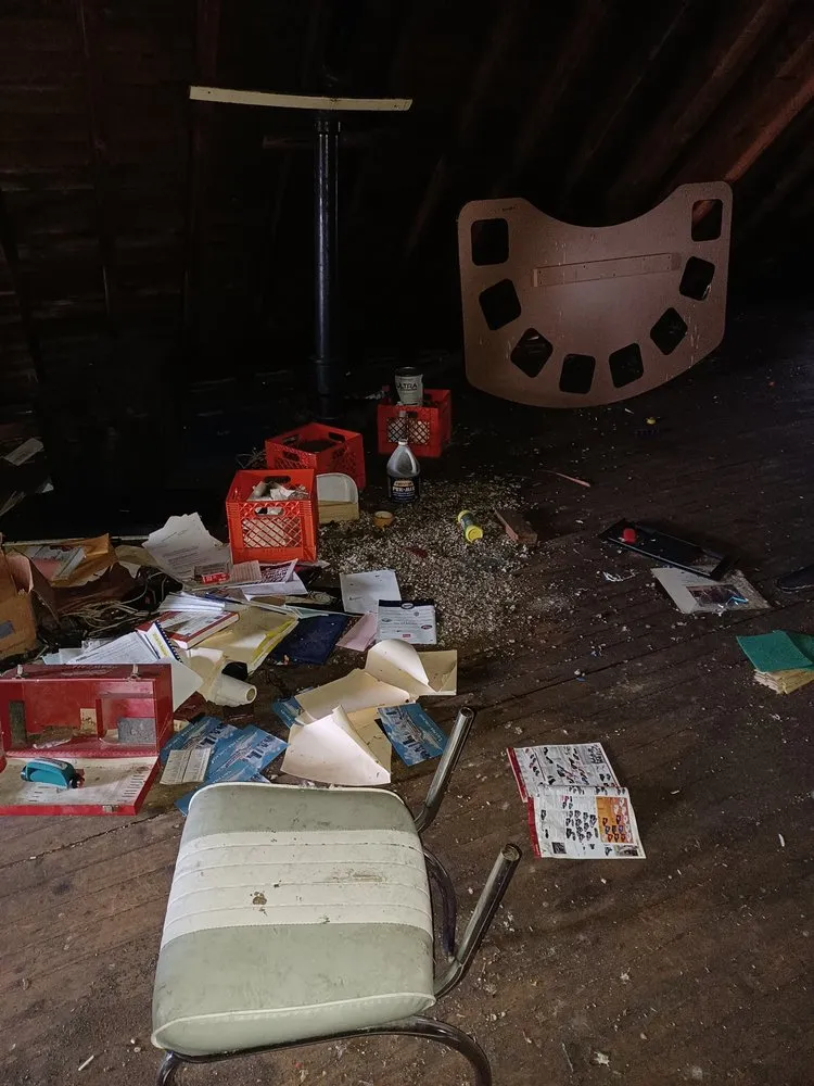 Professional lawn care service for beautiful yards across Milwaukee, WI - CSC Construction