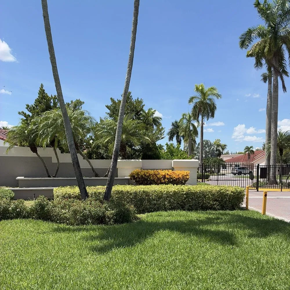 Top-rated yard cleanup service in Miami, FL - CSD Tree And Land