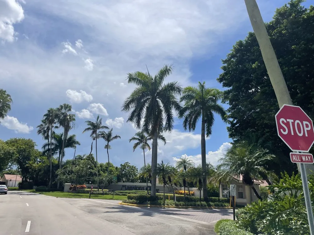 Affordable landscape design in Miami, FL - CSD Tree And Land