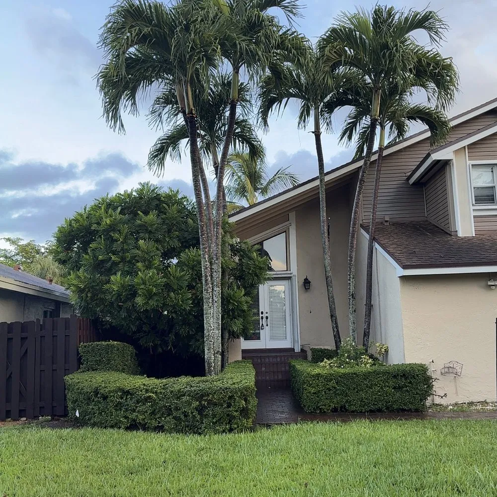 Professional yard maintenance in Miami, FL by CSD Tree And Land