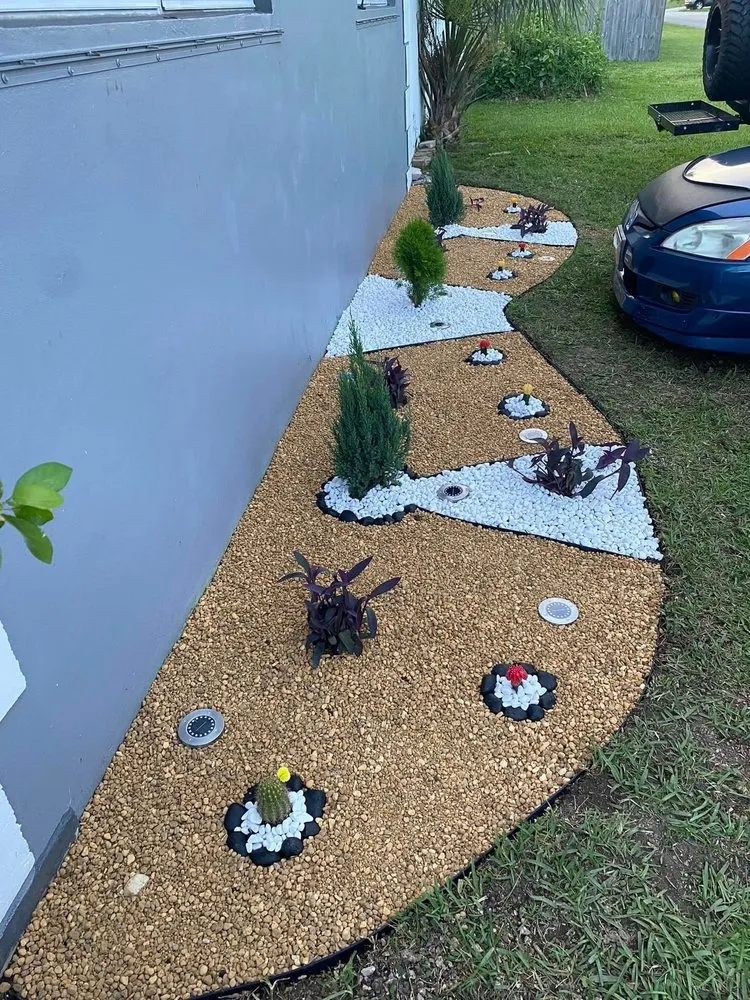 Affordable yard cleanup service in Miami, FL - CSD Tree And Land