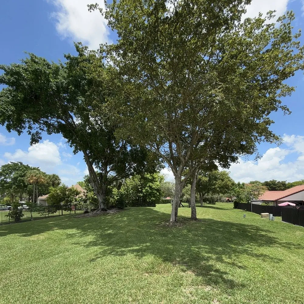 Local garden landscaping in Miami, FL by CSD Tree And Land